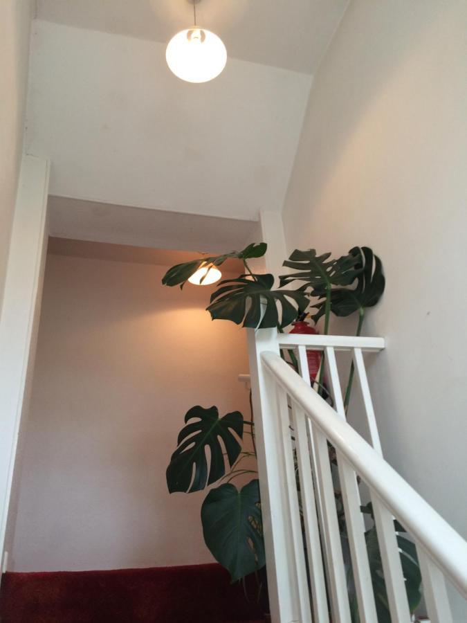 Fern Cottage 多切斯特 外观 照片